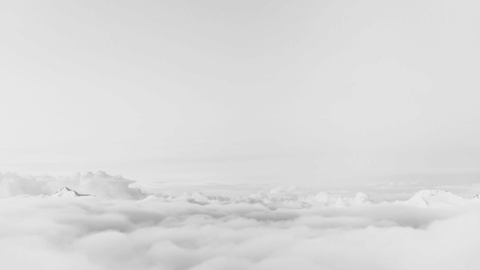 Long_View